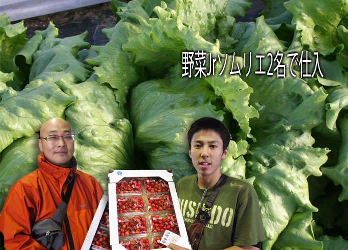 野菜ソムリエ